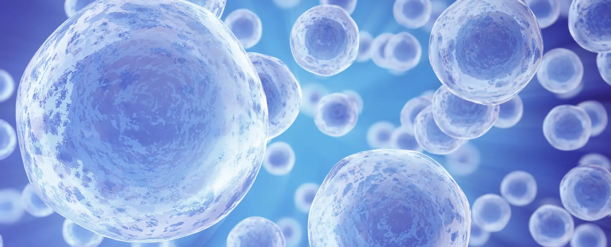 Buy popular peptides, Uther Peptide